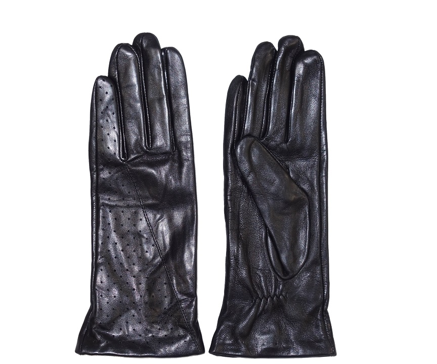 Перчатки  Gloves