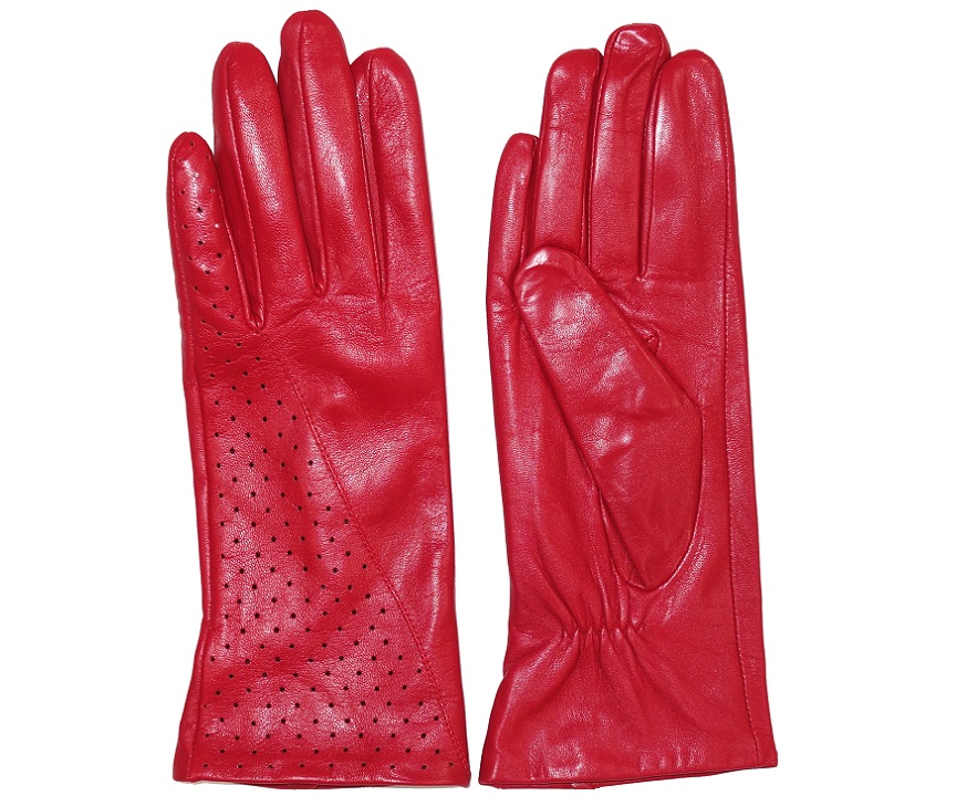 Перчатки  Gloves